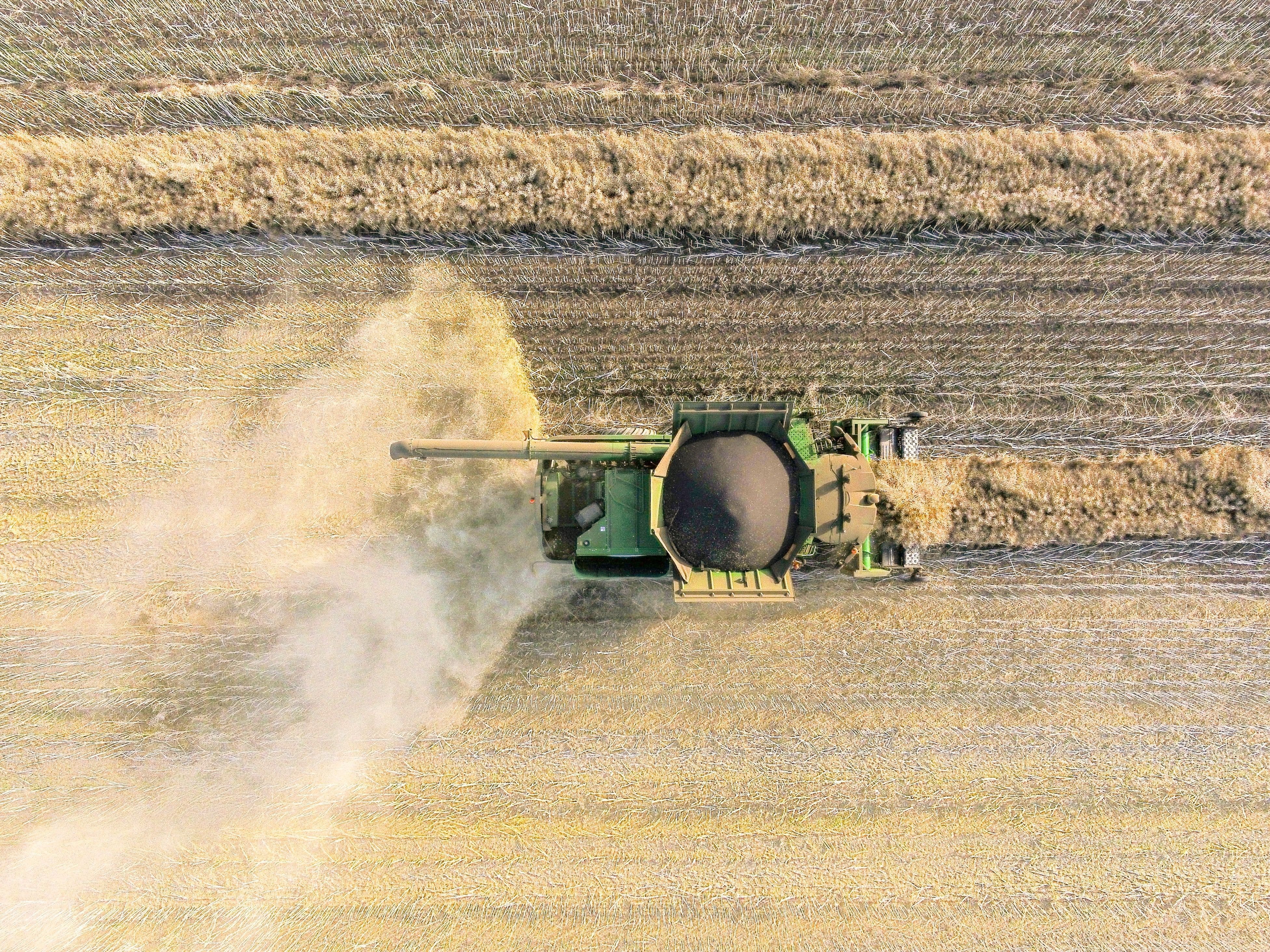 farm business advice