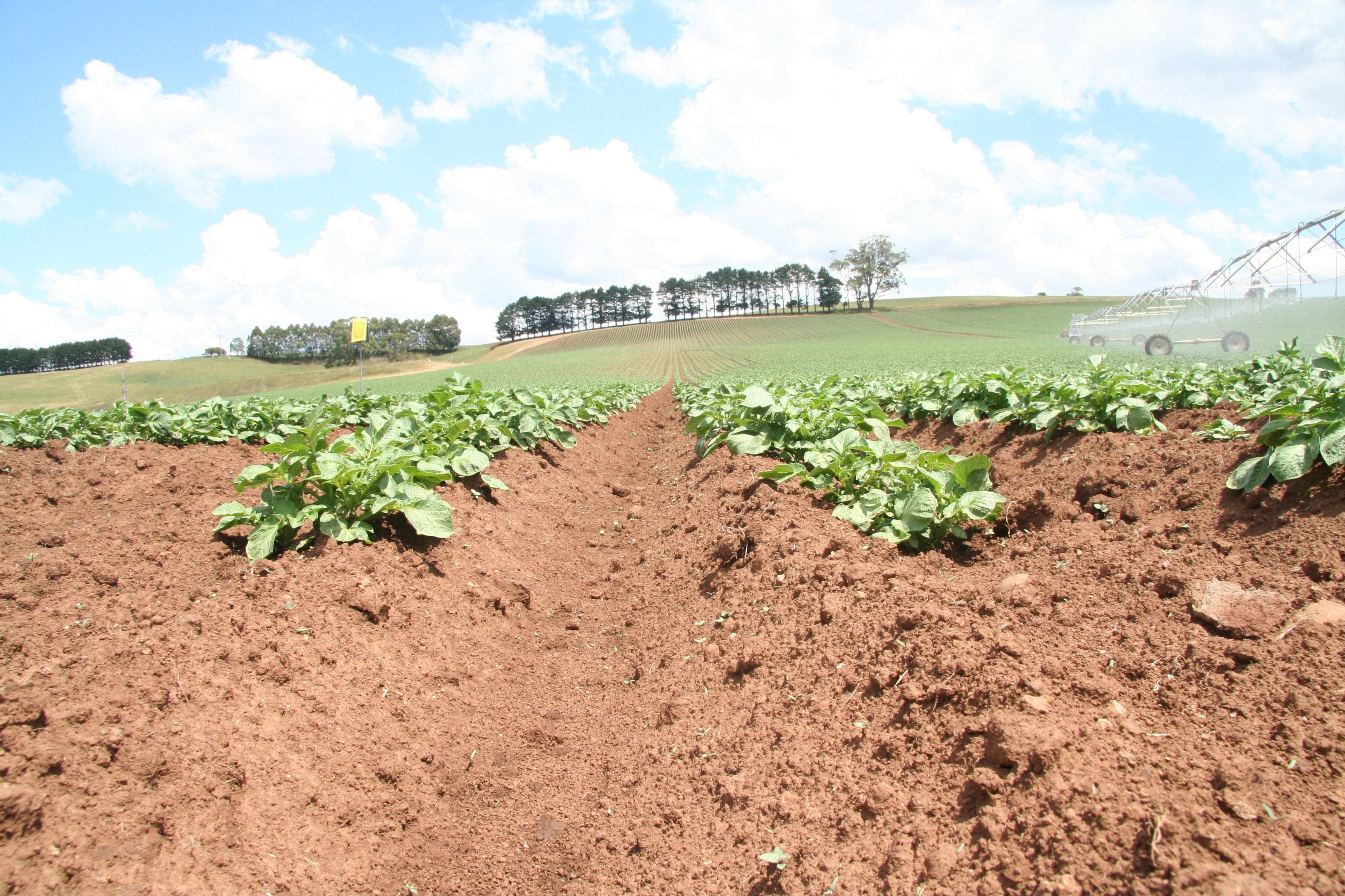 farm financial analysis farm finance